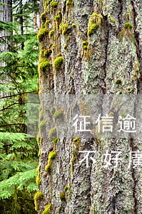 征信逾期廣發(fā)信用卡容易過嗎 征信不好廣發(fā)銀行會下卡嗎