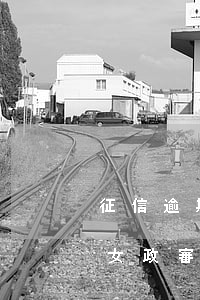 征信逾期影響子女政審嗎(個人征信會影響子女政審嗎)