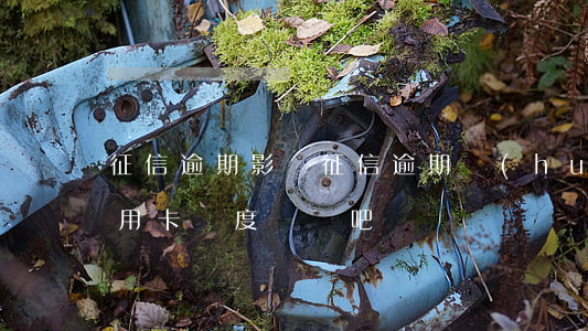 征信 逾期 影響（征信逾期會(huì)影響信用卡額度嗎貼吧）