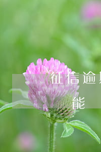 征信逾期影響搖號(hào)嗎（信用卡逾期還能搖號(hào)）
