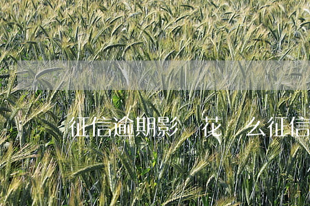 征信逾期影響花唄么(征信逾期影響花唄么)
