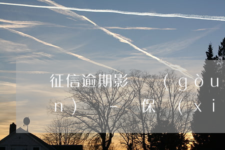征信逾期影響購(gòu)買車險(xiǎn)嗎-車保險(xiǎn)逾期會(huì)影響征信嗎