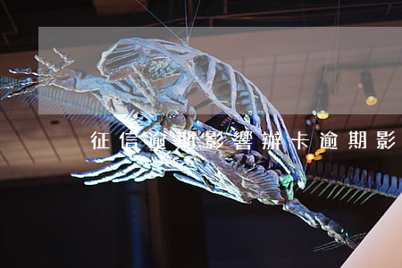征信逾期影響辦卡(逾期影響辦信用卡嗎)