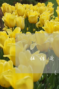 征信逾期影響辦銀行卡嗎（信用卡逾期去銀行辦業(yè)務(wù)有事嗎）