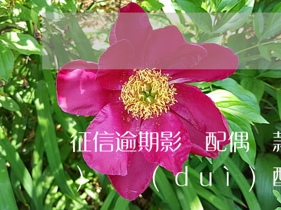 征信逾期影響配偶貸款嗎(征信有問(wèn)題對(duì)配偶有什么影響)