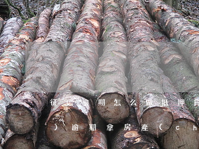 征信逾期怎么做抵押貸款(征信有過(guò)逾期,拿房產(chǎn)證能抵押貸款嗎)