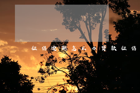 征信逾期怎么办贷款 征信有逾期怎么贷款