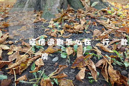 征信逾期怎么在銀行貸款(征信逾期怎么貸款買房)