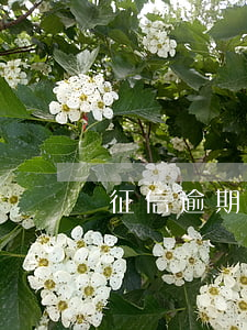 征信逾期怎么弄 征信逾期怎么樣