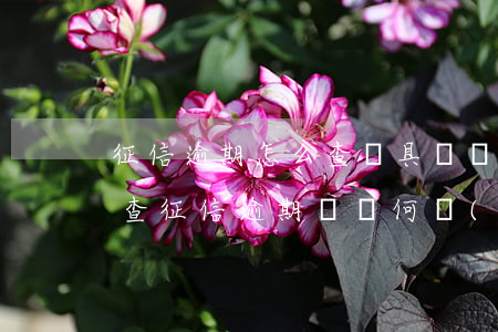 征信逾期怎么查詢具體時(shí)間(怎么查征信逾期記錄何時(shí)到期)