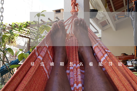 征信逾期怎么看能贷款(逾期在征信上怎么看)