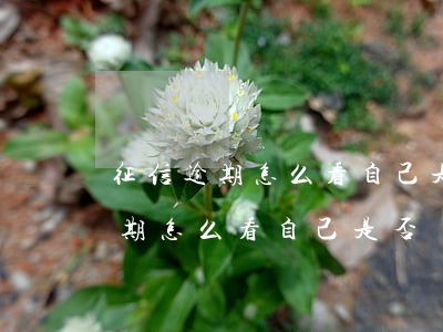 征信逾期怎么看自己是否為失信人-征信逾期怎么看自己是否為失信人員
