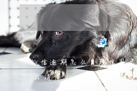 征信逾期怎么辦理信用卡（民生信用卡逾期怎么消除征信）