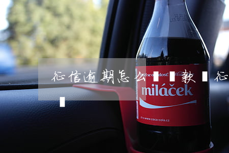 征信逾期怎么辦貸款嗎(征信逾期怎么辦貸款嗎)