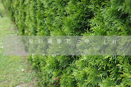 征信逾期怎樣申請(qǐng)信用卡(逾期怎么申請(qǐng)信用卡)