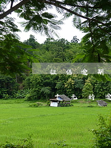 征信逾期急需貸款五萬(wàn)(征信有五十元的逾期)
