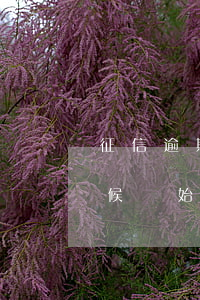 征信逾期恢復(fù)是什么時(shí)候開始計(jì)算-征信逾期恢復(fù)是什么時(shí)候開始計(jì)算的
