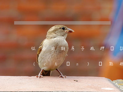 征信逾期房子抵押貸款(征信有過逾期,拿房產(chǎn)證能抵押貸款嗎)