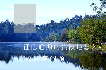 征信逾期房贷被拒怎么办(房贷被拒绝怎么补救征信问题)