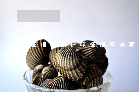 征信逾期护照(征信有逾期能办理护照吗)