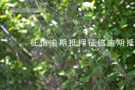 征信逾期抵押 征信逾期抵押房貸款