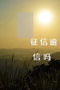 征信逾期支付宝能借钱吗 支付宝逾期能上征信吗