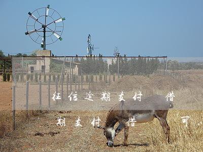 征信逾期支付寶借唄還可以使用嗎-征信逾期支付寶借唄還可以使用嗎安全嗎