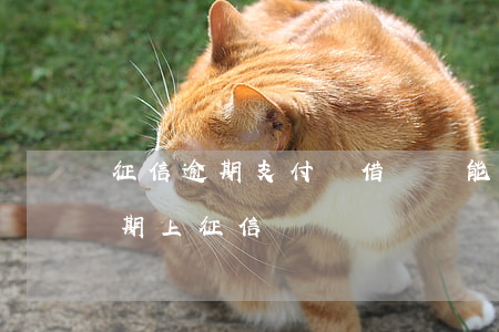 征信逾期支付寶借唄還能開通(支付寶借唄逾期上征信嗎?)