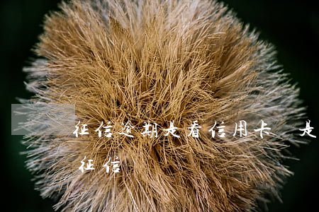 征信逾期是看信用卡還是貸款(用信用卡會查征信嗎)