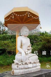 征信逾期显示余额为啥不显示利息-征信逾期显示余额为啥不显示利息呢