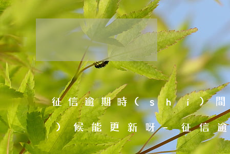 征信逾期時(shí)間短什么時(shí)候能更新呀-征信逾期時(shí)間短什么時(shí)候能更新呀