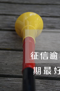 征信逾期最好辦的信用卡是什么卡-征信逾期最好辦的信用卡是什么卡啊