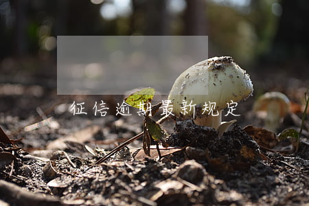 征信逾期最新规定