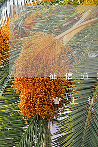 征信逾期最長多久會被起訴-一般逾期多久會上征信