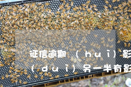 征信逾期會(huì)影響另一半嗎（逾期對(duì)另一半有影響嗎）