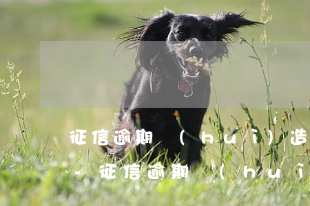 征信逾期會(huì)造成哪些后果是什么-征信逾期會(huì)造成哪些后果是什么原因