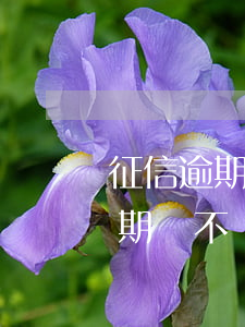 征信逾期會不會影響信用卡的使用-征信逾期會不會影響信用卡的使用額度