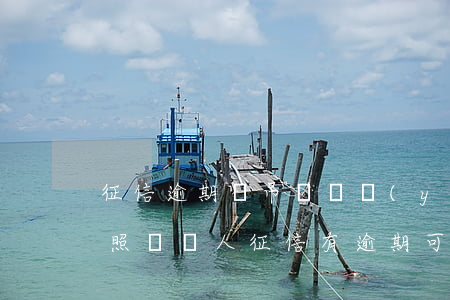 征信逾期會吊銷營業(yè)執(zhí)照嗎(個人征信有逾期可以辦營業(yè)執(zhí)照嗎)