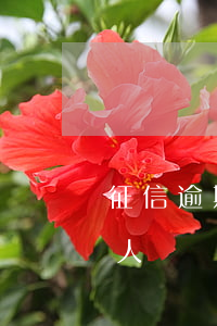 征信逾期會影響幾代人(征信逾期會影響幾代人)
