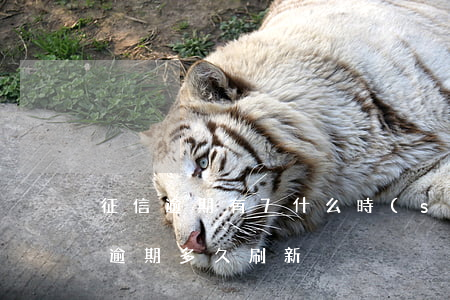 征信逾期有7什么時(shí)候刷新(征信逾期多久刷新)