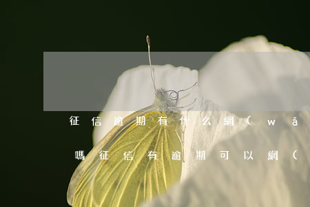 征信逾期有什么網(wǎng)貸可以貸款嗎（征信有逾期可以網(wǎng)貸嗎）