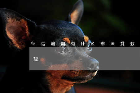征信逾期有什么辦法貸款(征信有逾期如何處理)