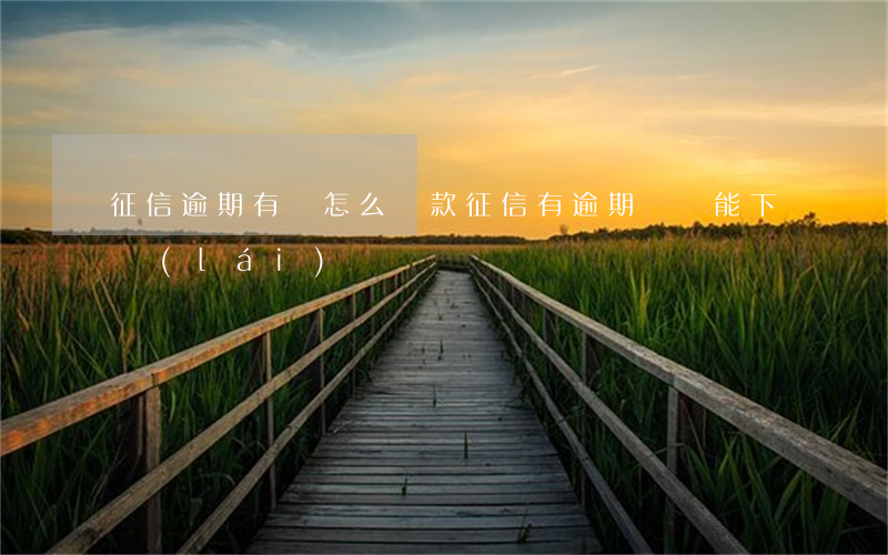 征信逾期有車怎么貸款(征信有逾期車貸能下來(lái)嗎)