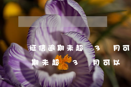 征信逾期未超過3個月可以貸款嗎-征信逾期未超過3個月可以貸款嗎?