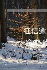 征信逾期未還申請信用卡能過嗎-有過信用逾期能申請信用卡嗎