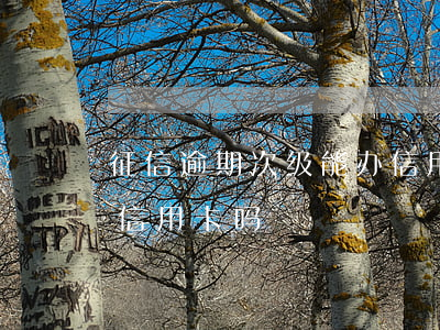 征信逾期次级能办信用卡吗(逾期上征信能办信用卡吗)