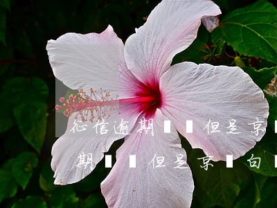 征信逾期沒還但是京東白條還能用-征信逾期沒還但是京東白條還能用嗎