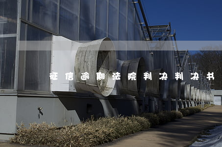 征信逾期法院判决(判决书上征信)