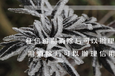 征信逾期消除后可以辦理信用卡嗎-征信逾期消除后可以辦理信用卡嗎