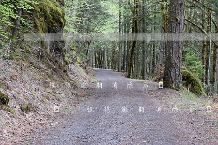 征信逾期消除后對(duì)子女還有影響嗎-征信逾期消除后對(duì)子女還有影響嗎知乎